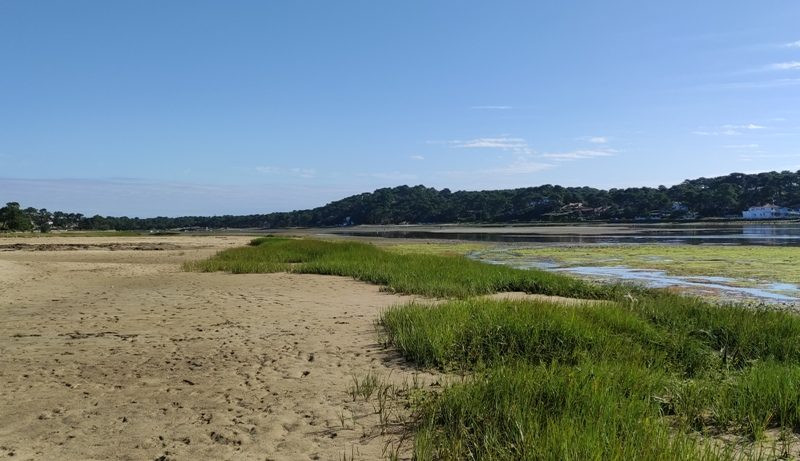 visite-lac-botamarion-reserver-250